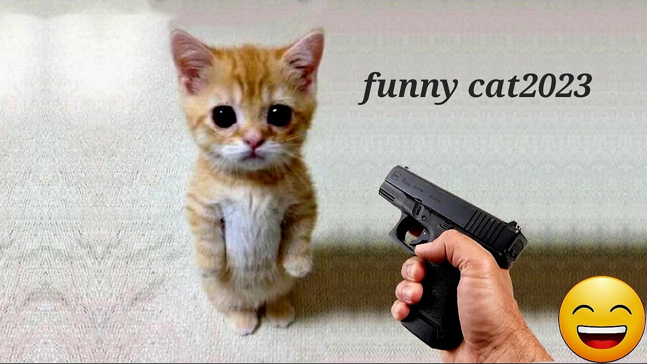 Funny cat vs Gun - Funny Animals playing dead on finger shot Compilation || Animal Gags