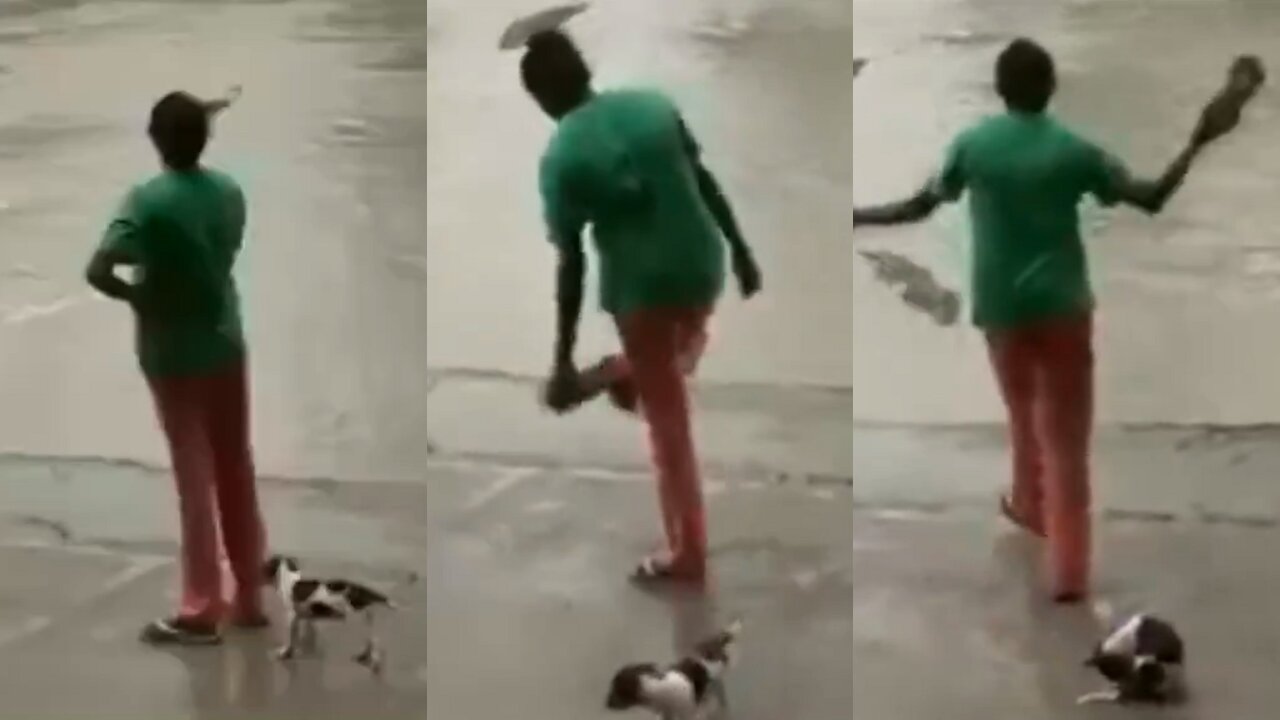 Mother Scaring Crocodile with Slipper