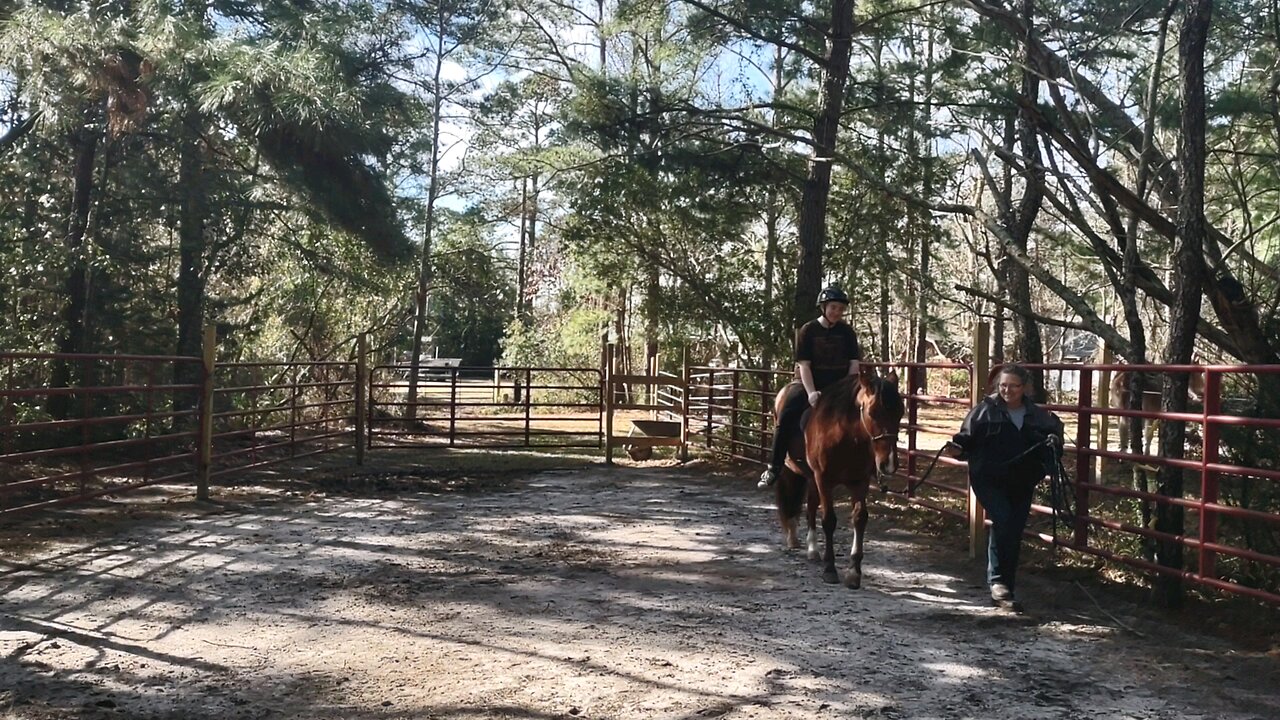 2nd time Riding BLM Mustang Horse named Eclipse