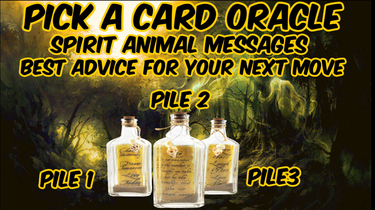 Pick A Card Oracle Reading -Timeless Messages From Your Spirit Animal Guides - Best Advice 🐺🐻🐴🐢