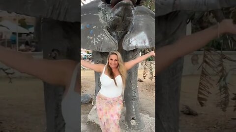 Just here playing around #happy #fyp #funny