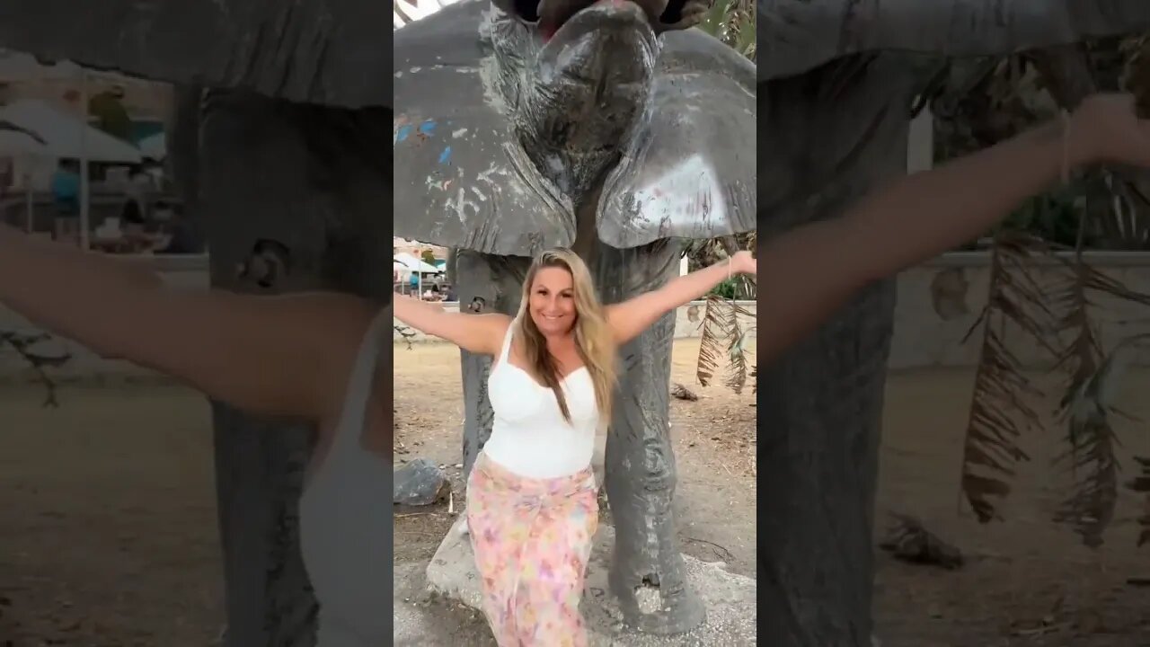 Just here playing around #happy #fyp #funny