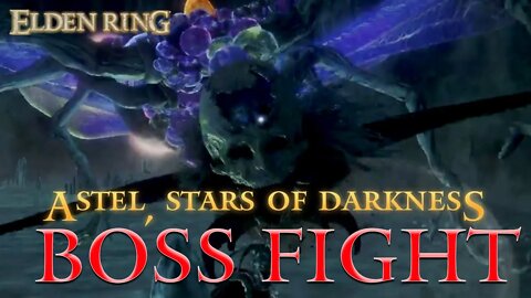 Elden Ring Astel Stars of Darkness Boss Fight