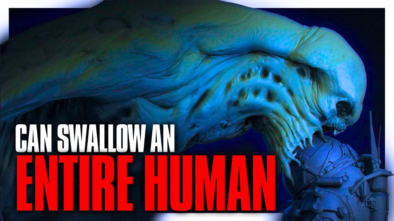 The BODY SWALLOWING Bipedal Ocean Dwelling Species In Underwater Explained