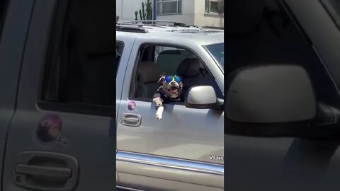 INCREVA POR FAVOR - ENTRETENIMENTO - SUBSCRIBE PLEASE - ENTERTAINMENT