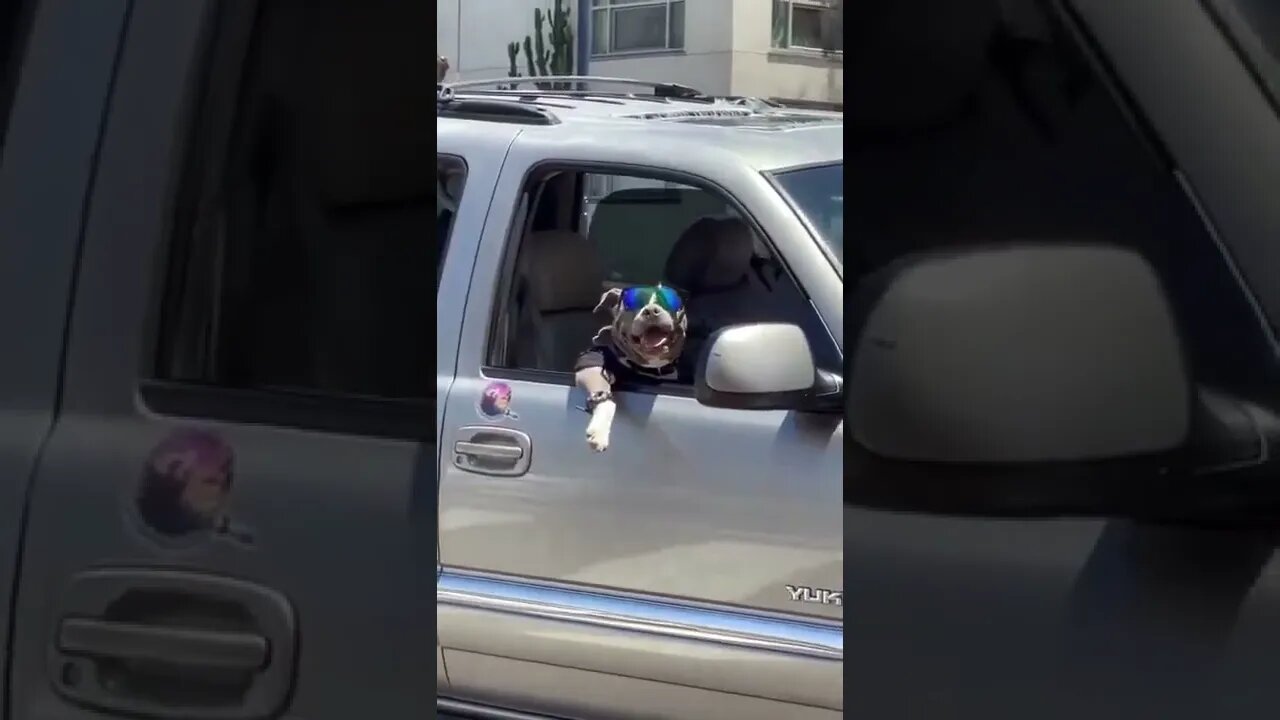 INCREVA POR FAVOR - ENTRETENIMENTO - SUBSCRIBE PLEASE - ENTERTAINMENT