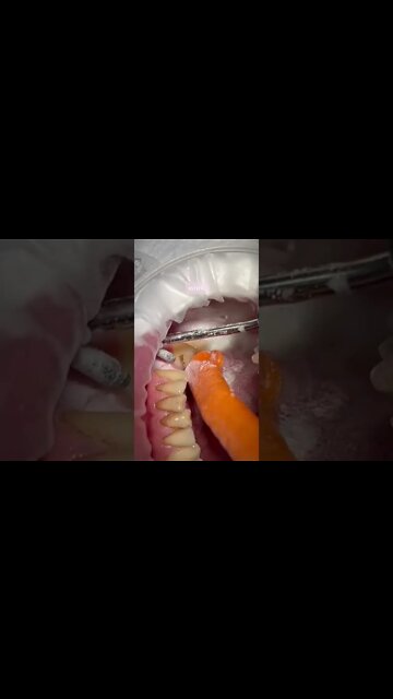 #shorts #2022 funny,prank,funjokes,dad jokes,funny memes,funny video,fun,laughing,funny animal,knock