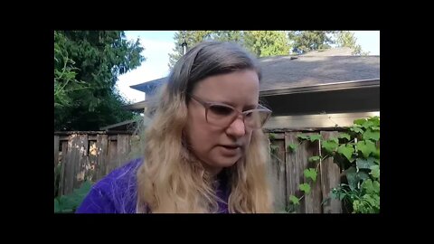 Our daily harvest and a garden tour;)