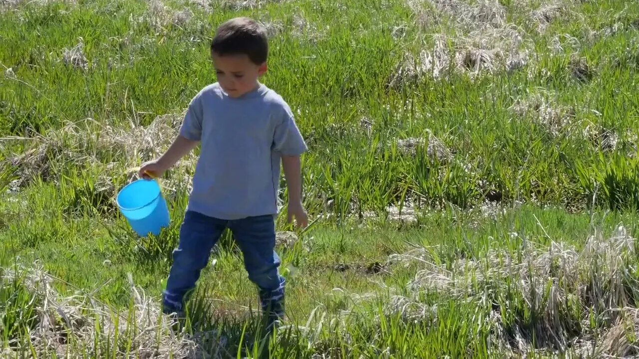 Little Boy Hunting For Frogs In A Swampy Green Field In The Summer