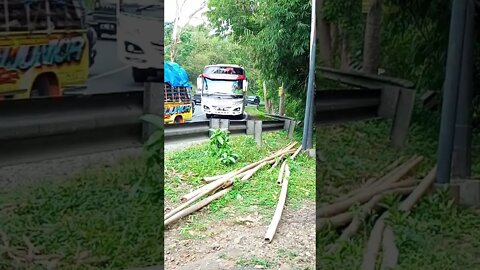 bus lewat