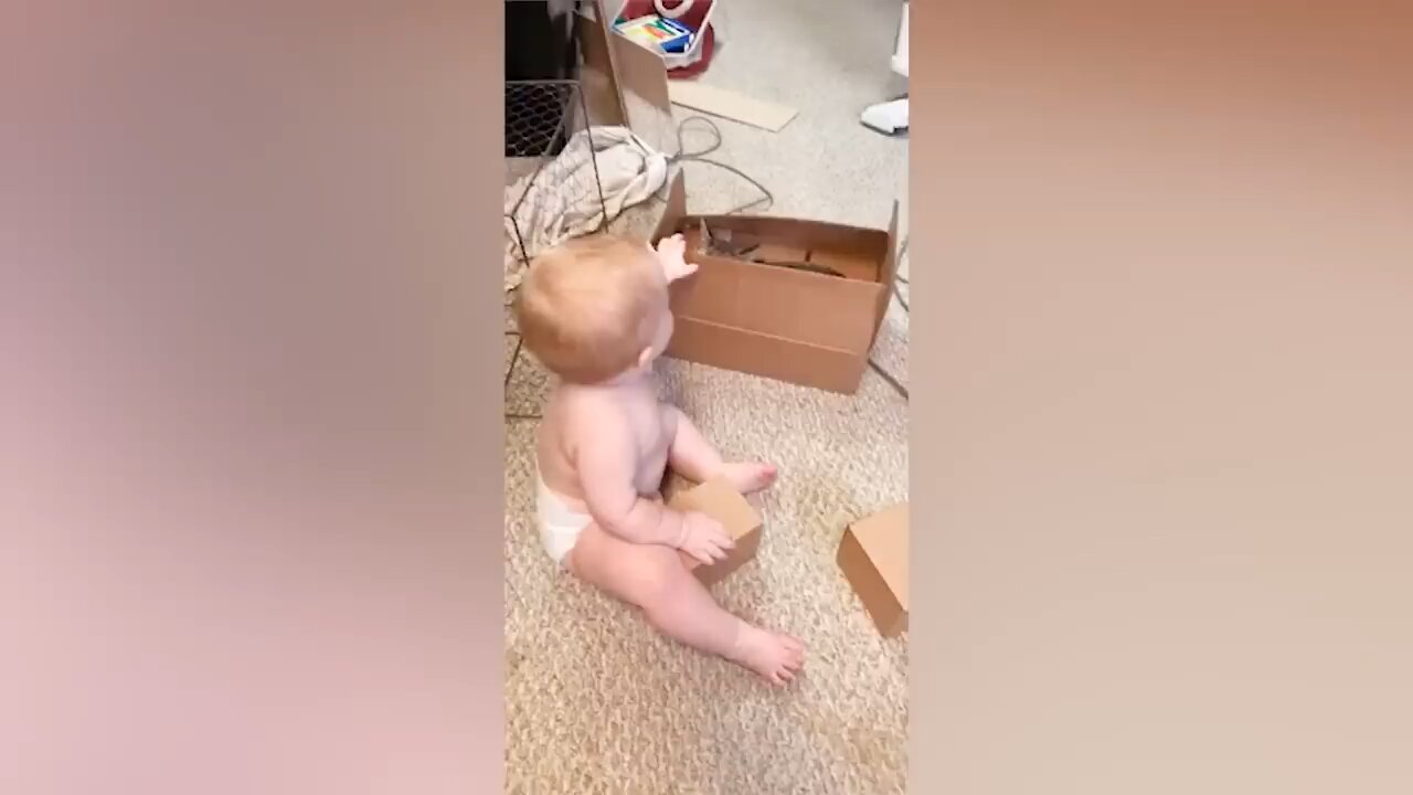 Baby And Cat Fun And Cute - Funny Baby Videos