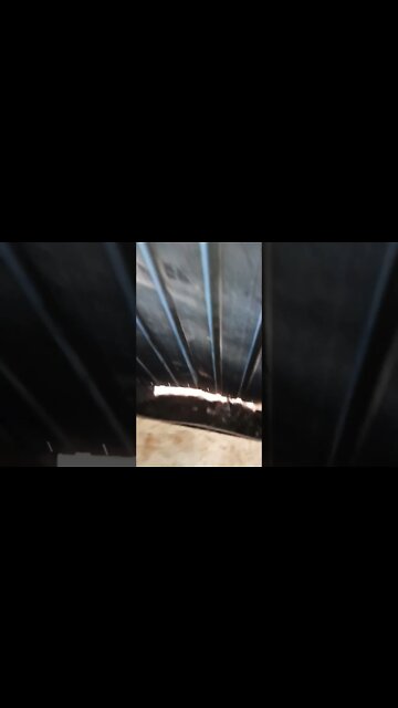 Goose going to lay an egg