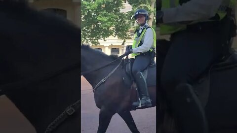 police officer waves at me on horseback #buckinghampalace