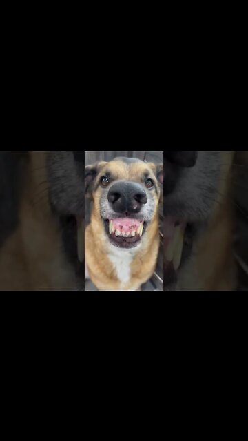 Portion Control , # short