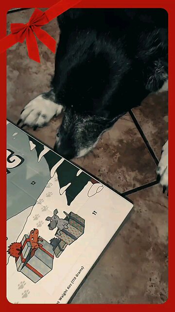 Better late than never! Day 7 of Pepper's Advent Calendar adventure is finally here!