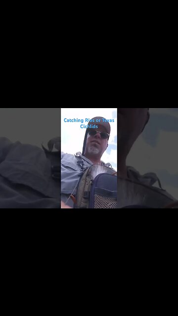 #viral #shortvideo #shorts #short #rio #cichlid #texas #clearwater #duranduran #flyfishing #kayak