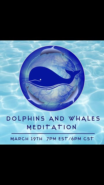 Dolphin and Whale Meditation