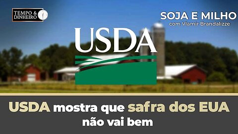 USDA mostra que safra de soja dos EUA não vai bem mas tem melhora da qualidade.