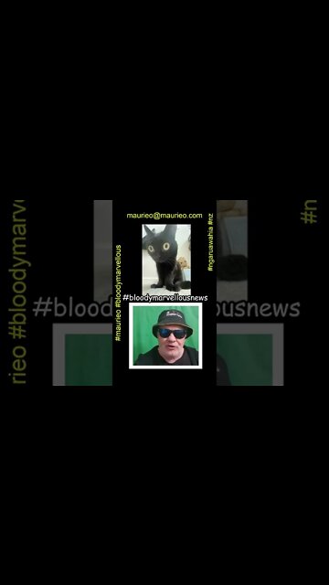 #maurieo #shorts @bigfootjinx : MAYOR OF HELL