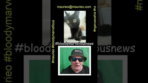 #maurieo #shorts @bigfootjinx : MAYOR OF HELL