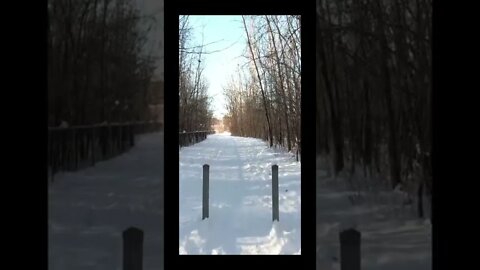 Nature walk in the snow