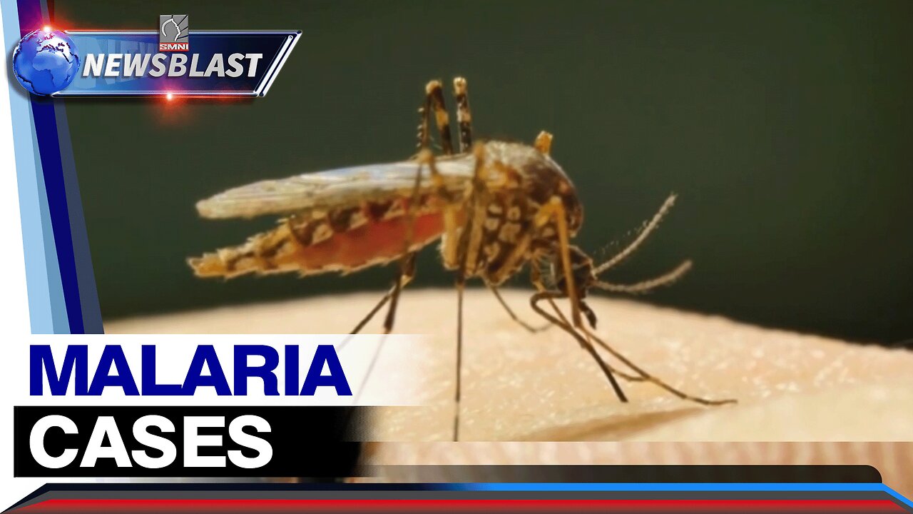 Malaria Cases sa Puerto Prinsesa, inaaksyunan na ng DOH