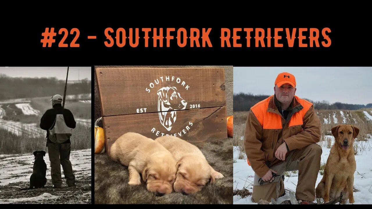 #22 - Southfork Retrievers Interview