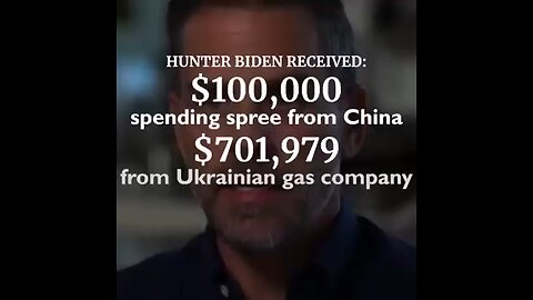 hunter biden income