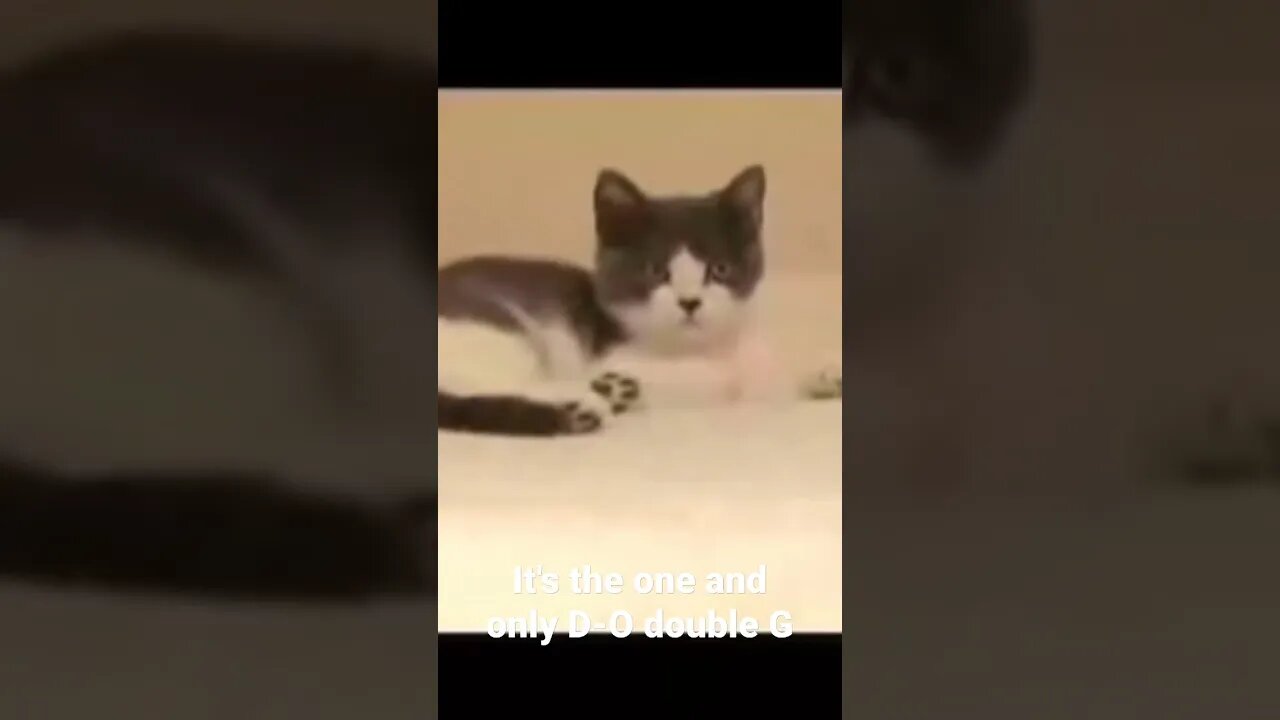 #shorts It's the one and only D-O double G