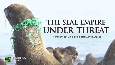 The Seal Empire under Threat | RT Documentary