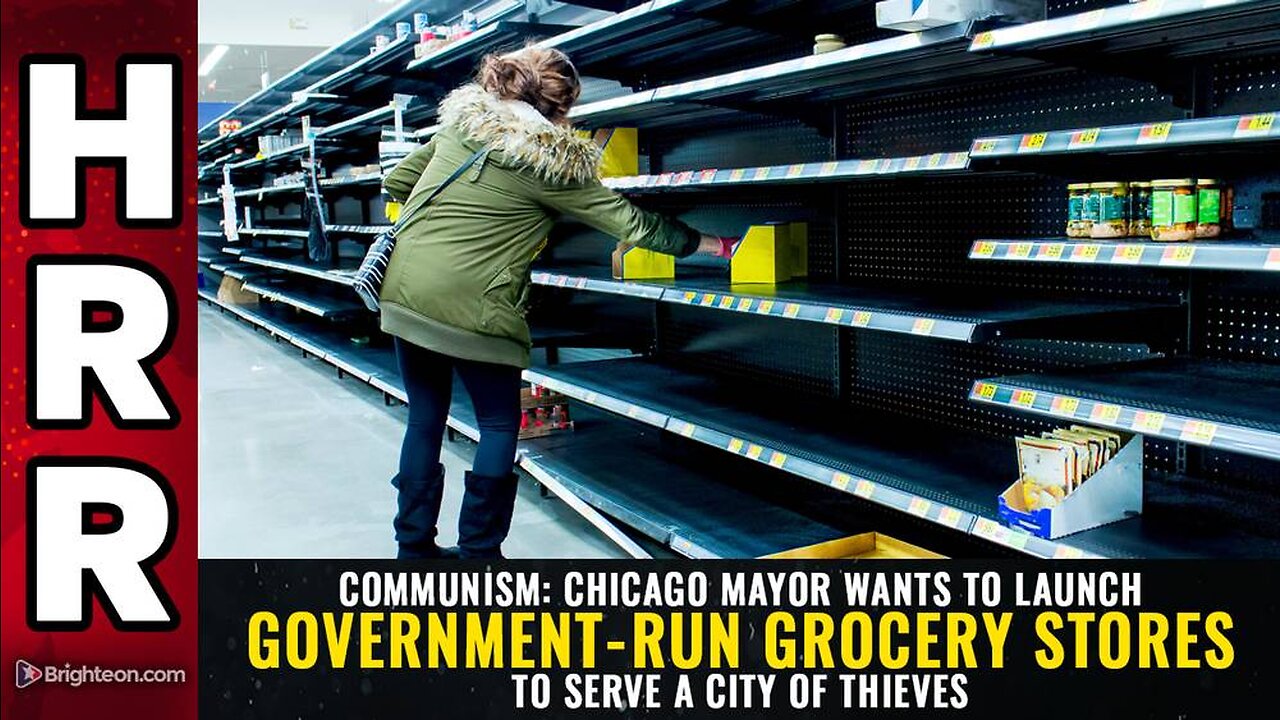 Chicago mayor wants to launch government-run grocery stores to serve a CITY OF THIEVES