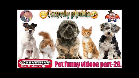 😃Pet funny videos part-29/🐈‍⬛vs🐕😁Animalspetvideos#petsim