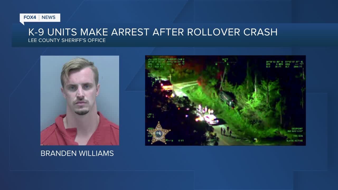 LCSO arrests man after attempting to smother a dog