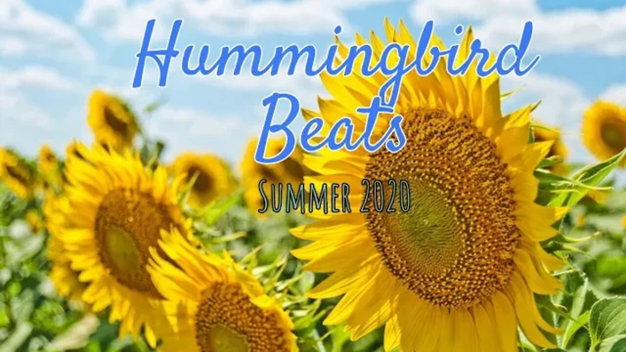 Harmony by Vlad Gluschenko 🌻Indie Folk No Copyright Music