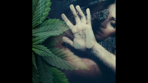 "Girls, Smoke and Precious Moments: An Exploration of the Beautiful Life"