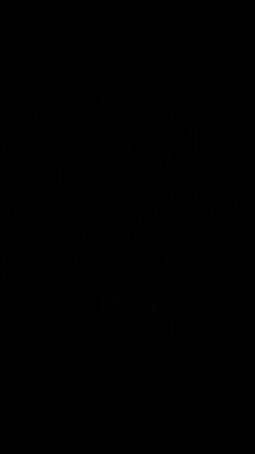 Oatmeal brains as a president