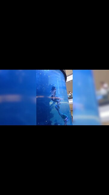 Moment shopping mall mermaid struggles for air as tail is caught during aquarium show
