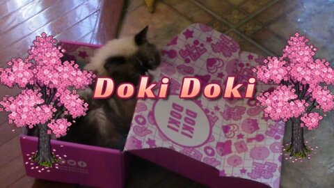 Doki Doki Crate (Sakura Theme) Unboxing June 2022 🌸