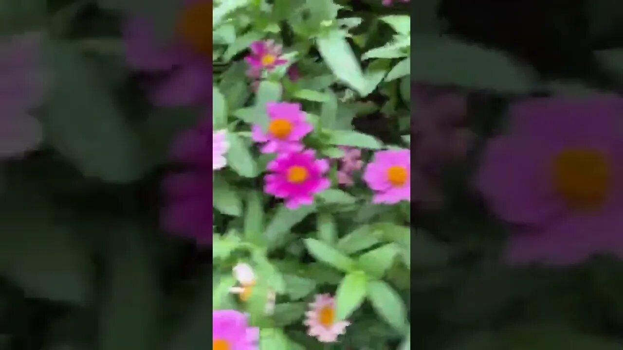 꽃구경 삼성본관 서울 중구