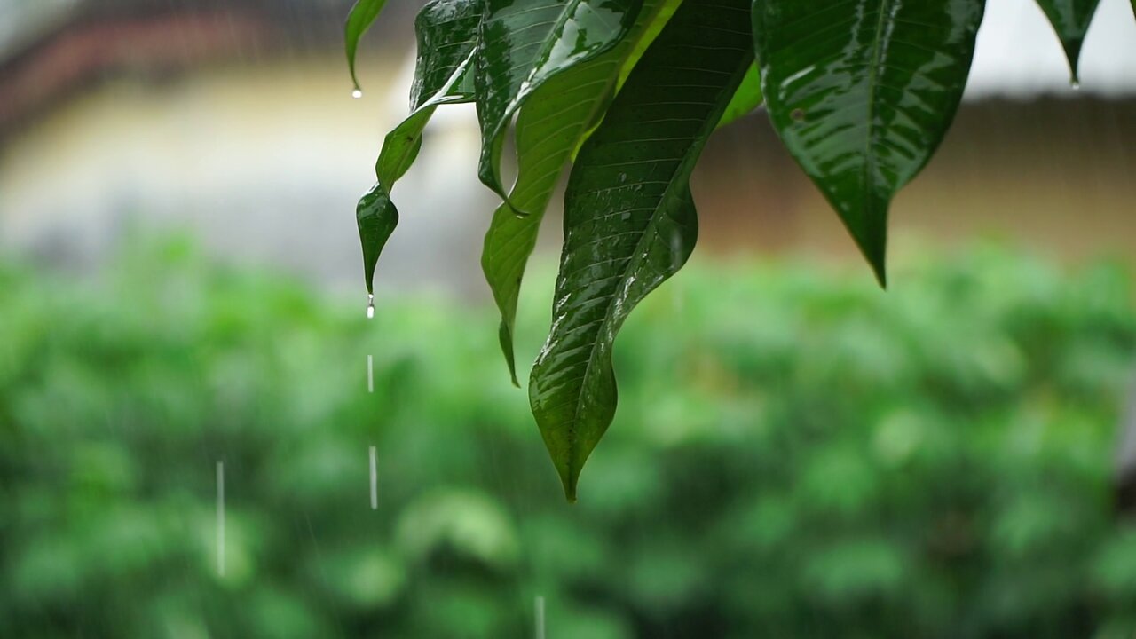 8 HOURS OF RAIN FOR SOUND SLEEP, MEDITATION, RELAXATION OR LEARNING