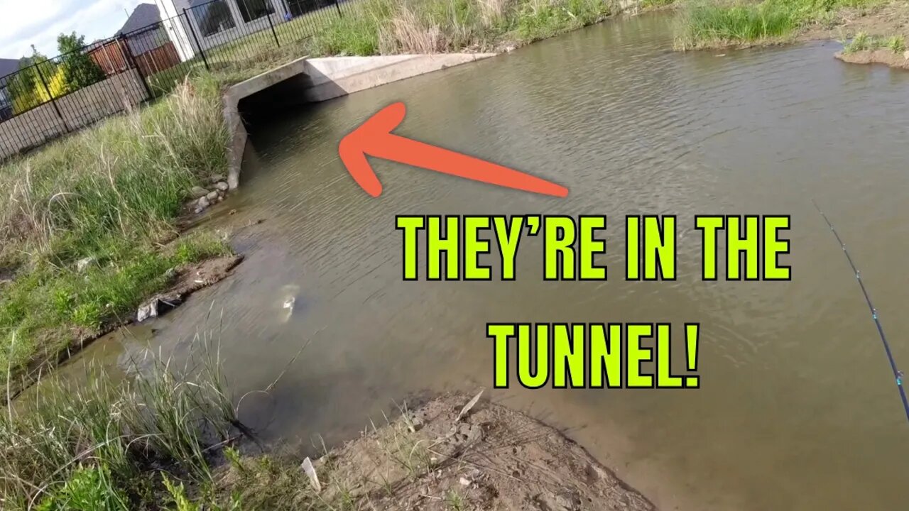 How To Catch Bass In TUNNELS!!