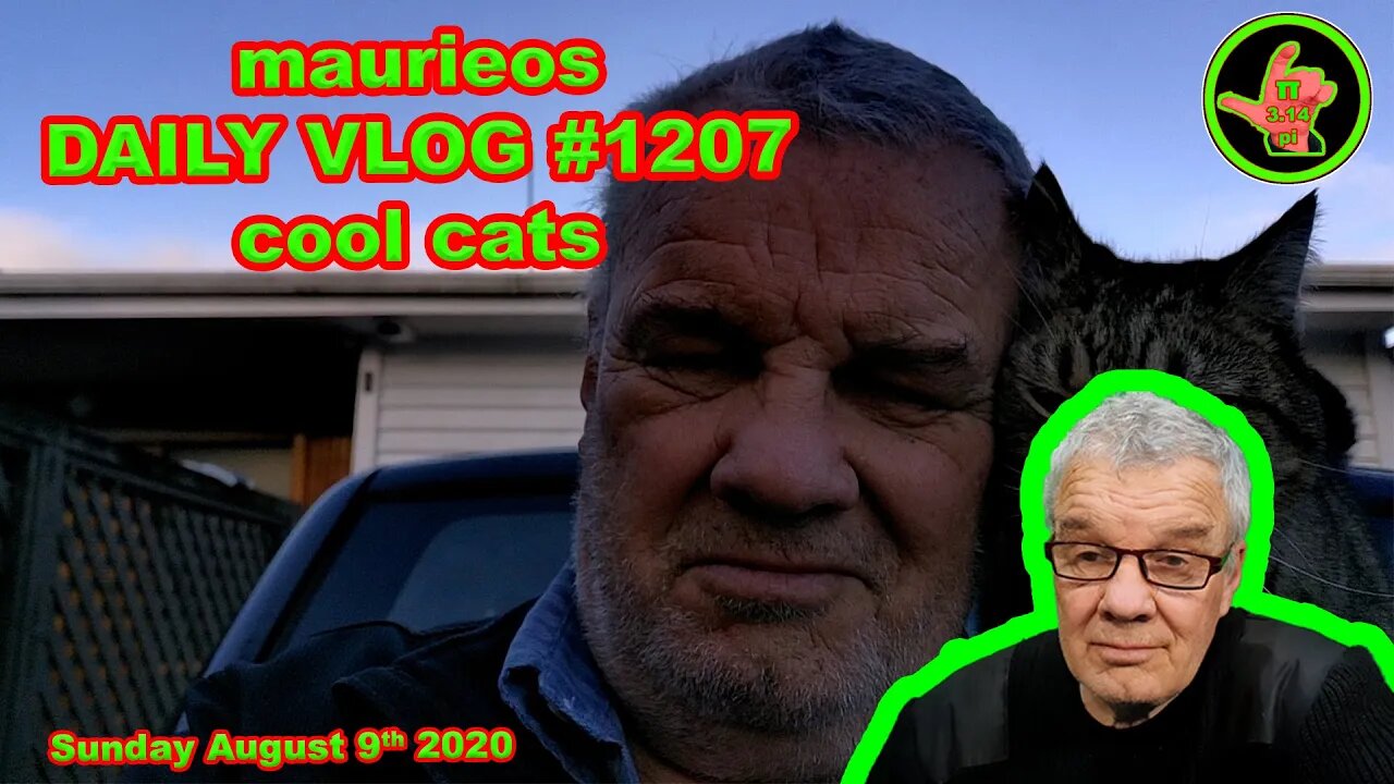 maurieos DAILY VLOG #1207 cool cats