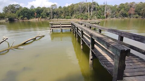 WATER LEVEL IN A COVE OFF THE LAKE