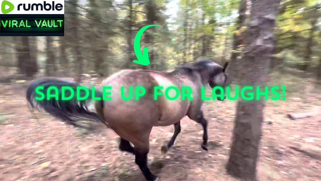 The Unbelievable 24-Second Saga of a Horse's Hilarious Hit-and-Run!