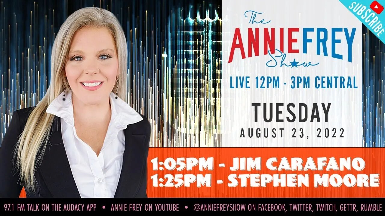 Cost to Raise Kids, Midterm Poll Update, and US Foreign Policy • Annie Frey Show 8/23/22