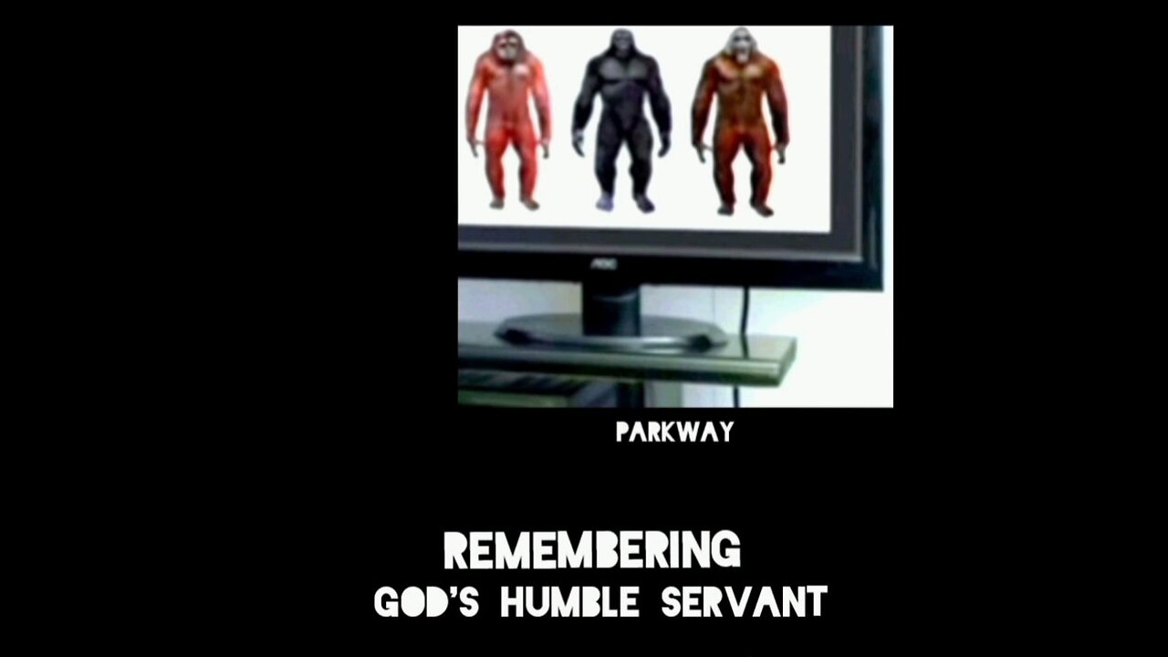 In Remembrance Of Parkway: Bigfoot Hunter/ Skywatcher
