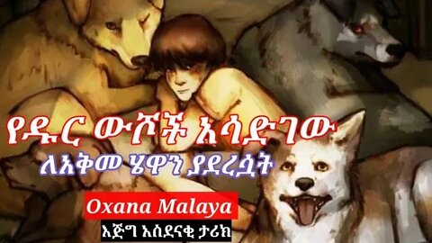 የዱር ውሾች አሳድገው | ለአቅመ ሄዋን ያደረሷት | Oxana Malaya