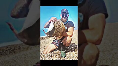 #fishing #ukseafishing #saltwater #vercelli #jurrasiccoast #dorset #beachfishing #saltwatermax