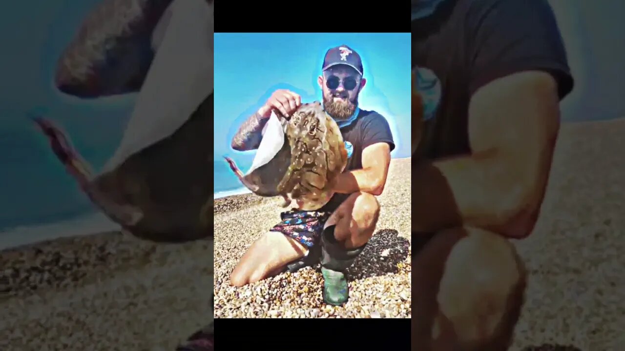 #fishing #ukseafishing #saltwater #vercelli #jurrasiccoast #dorset #beachfishing #saltwatermax
