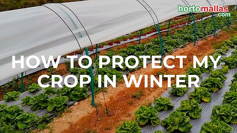 How to Protect my Crops from Frosts